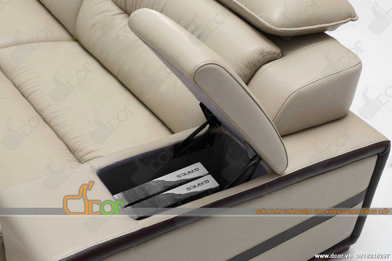 Mẫu sofa Đài Loan nhập khẩu nguyên chiếc cao cấp Mẫu sofa Đài Loan nhập khẩu nguyên chiếc cao cấp