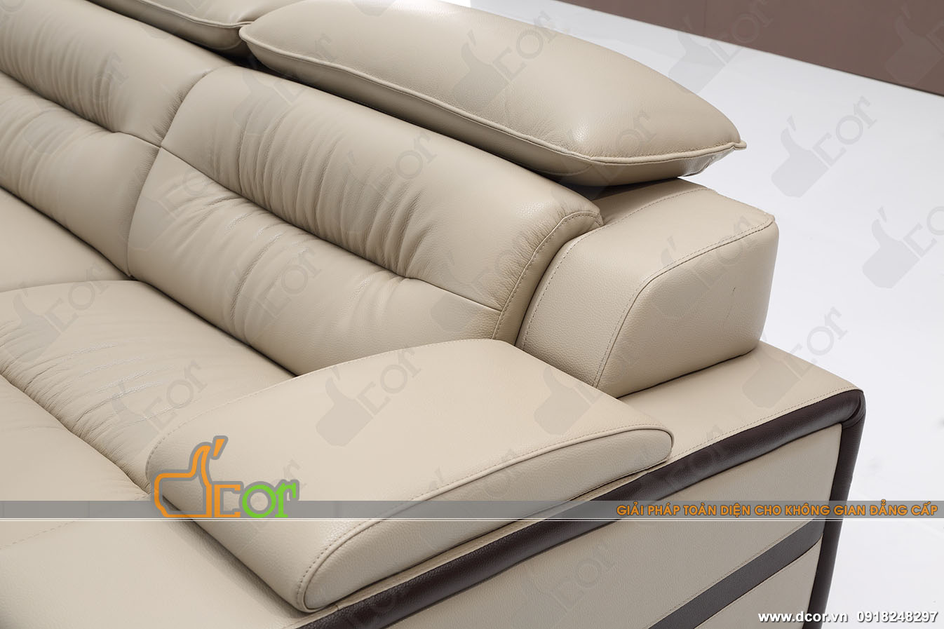 Mẫu sofa Đài Loan nhập khẩu nguyên chiếc cao cấp Mẫu sofa Đài Loan nhập khẩu nguyên chiếc cao cấp