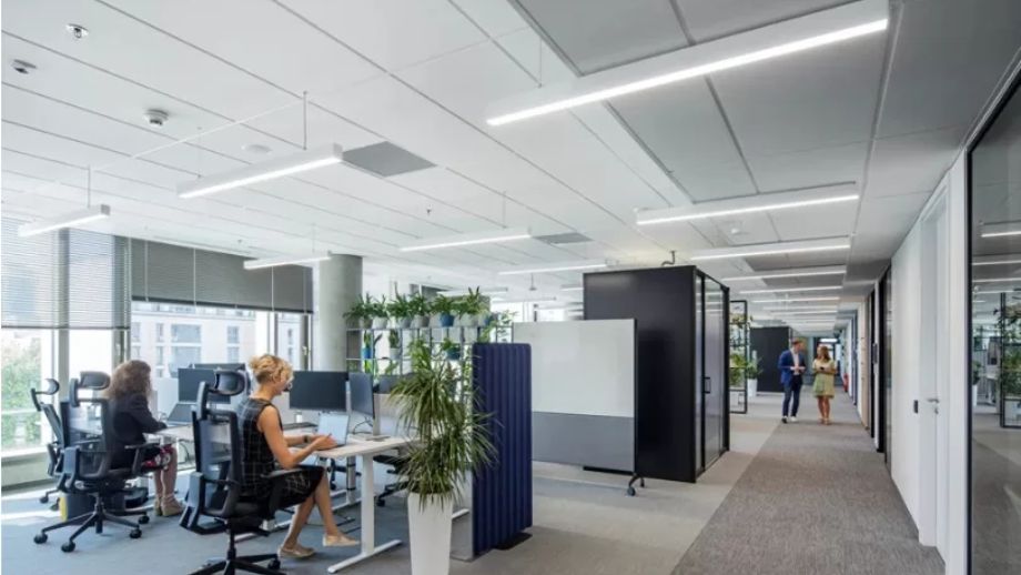 Tấm trần tiêu âm Ecophon Focus Flexiform A Tấm trần tiêu âm Ecophon Focus Flexiform A